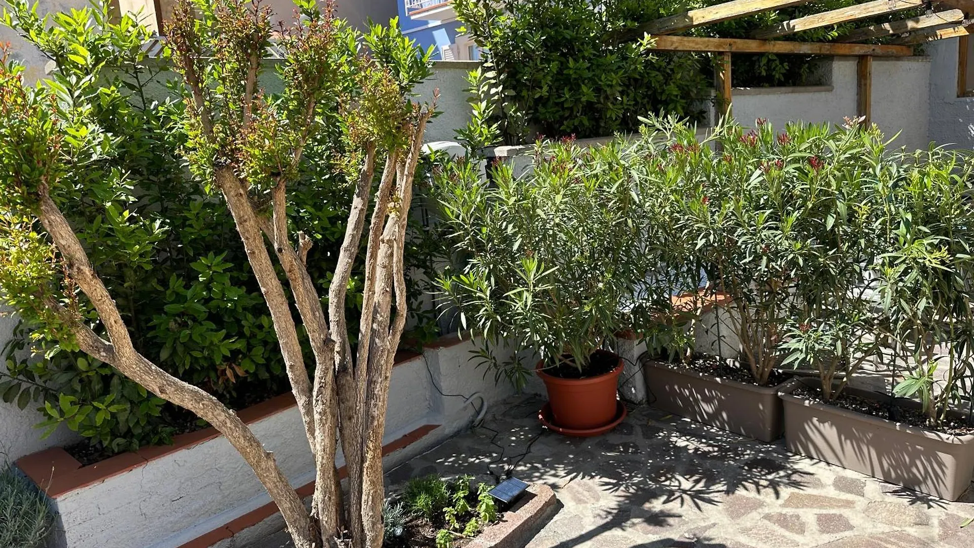 Holiday home Villa Portoferraio
